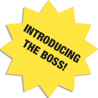 Introducing the BOSS